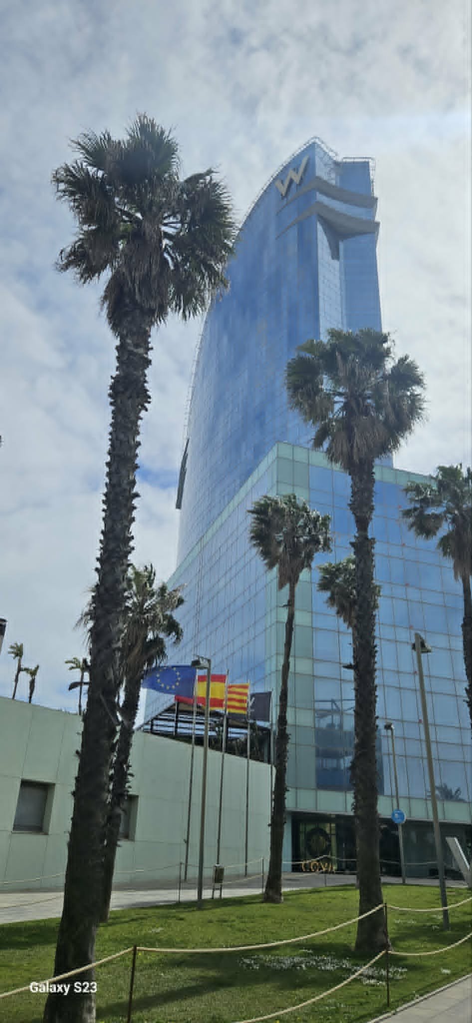 Barcelona waterfront landmark and palm trees